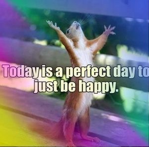 Meet your Posher, Viola